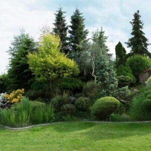 Landscape-Design