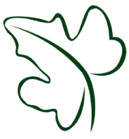 terra-green-icon terra-green-icon